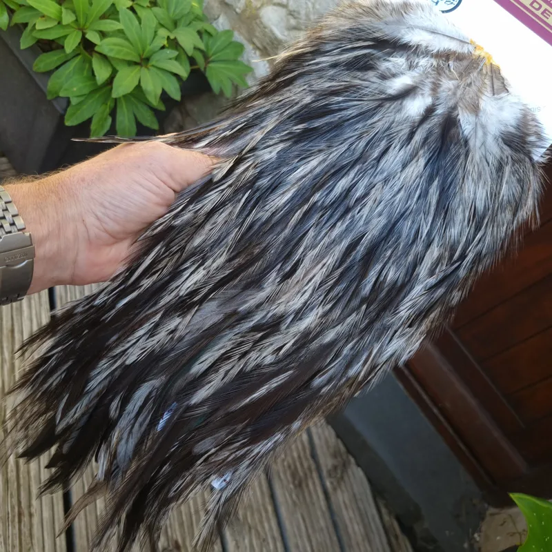 Whiting Coq de Leon Silver Grade Rooster Saddle in Unique Variant B