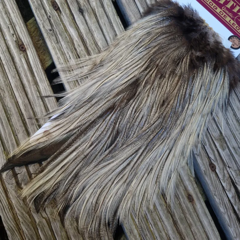 Whiting Coq de Leon Bronze Grade Rooster Saddle in Cream Badger A-3