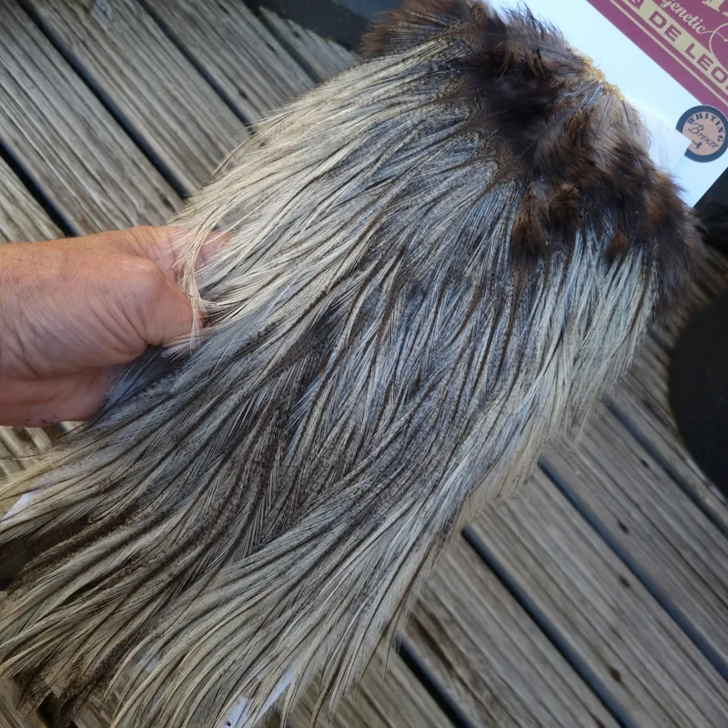 Whiting Coq de Leon Bronze Grade Rooster Saddle in Cream Badger A