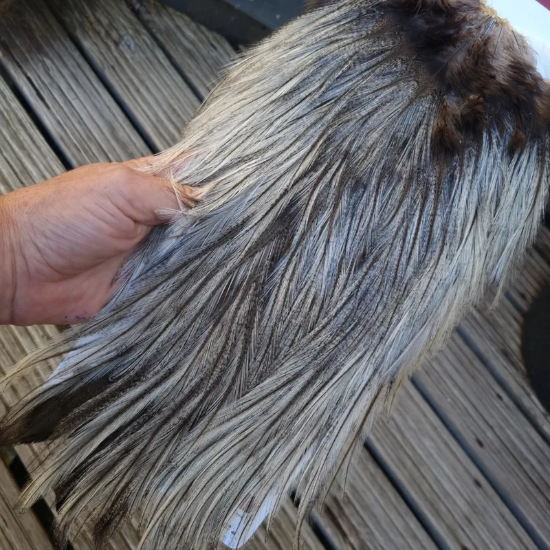 Whiting Coq de Leon Bronze Grade Rooster Saddle in Cream Badger A-2