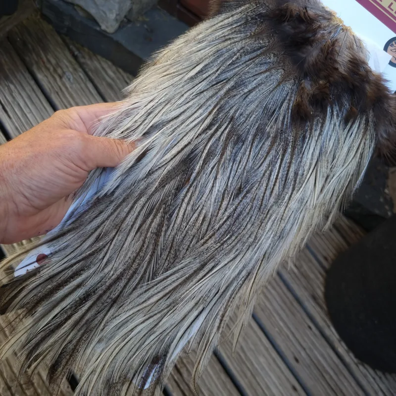 Whiting Coq de Leon Bronze Grade Rooster Saddle in Cream Badger A-6