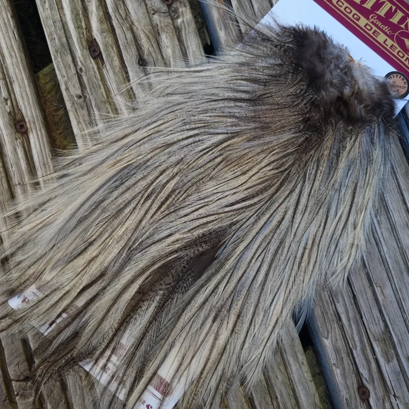 Whiting Coq de Leon Bronze Grade Rooster Saddle in Cream Badger B-4