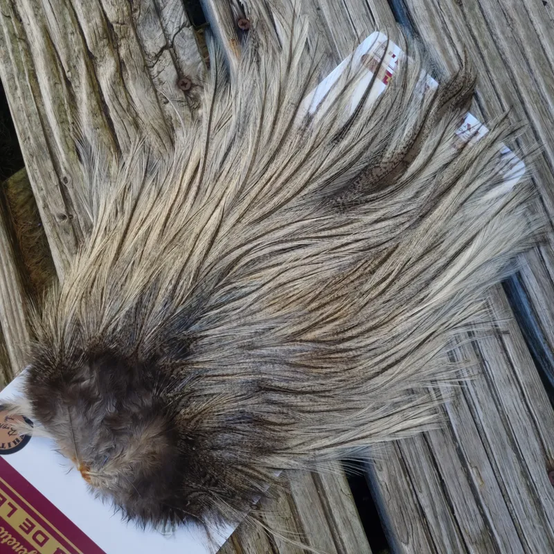 Whiting Coq de Leon Bronze Grade Rooster Saddle in Cream Badger B-5