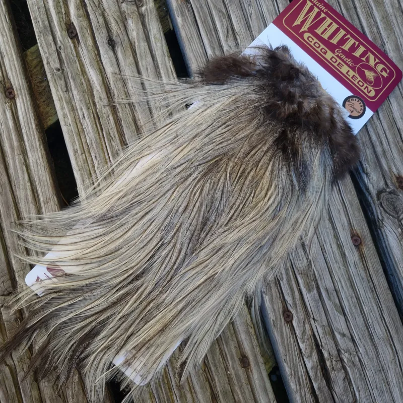 Whiting Coq de Leon Bronze Grade Rooster Saddle in Cream Badger C-1