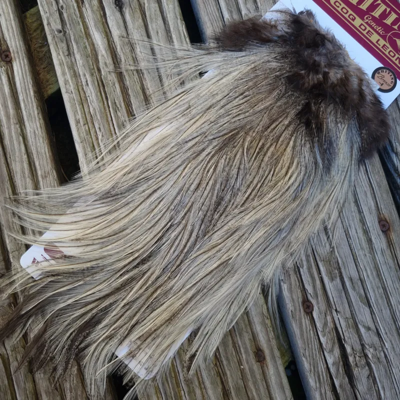 Whiting Coq de Leon Bronze Grade Rooster Saddle in Cream Badger C-4