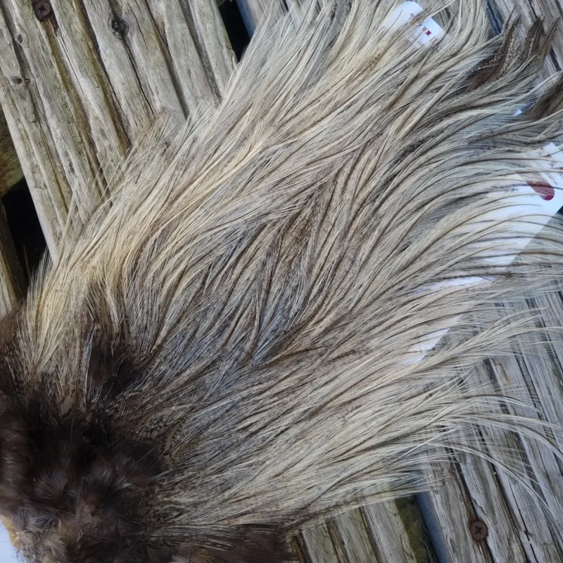 Whiting Coq de Leon Bronze Grade Rooster Saddle in Cream Badger C-3