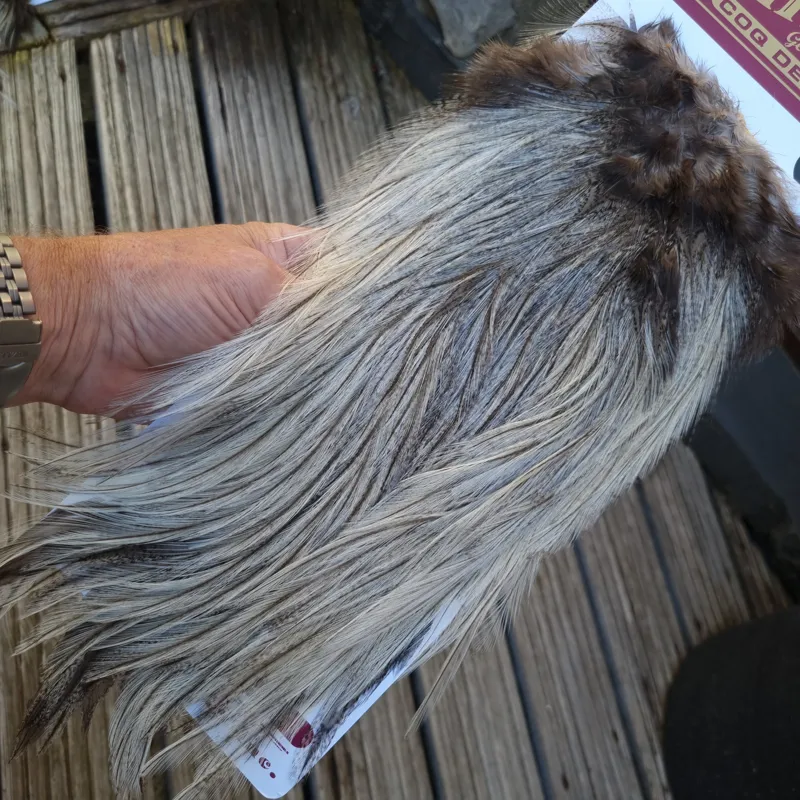 Whiting Coq de Leon Bronze Grade Rooster Saddle in Cream Badger C-2