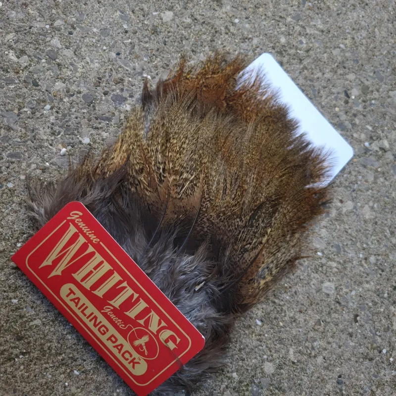 Whiting Coq de Leon Tailing Pack in Dark Pardo-1