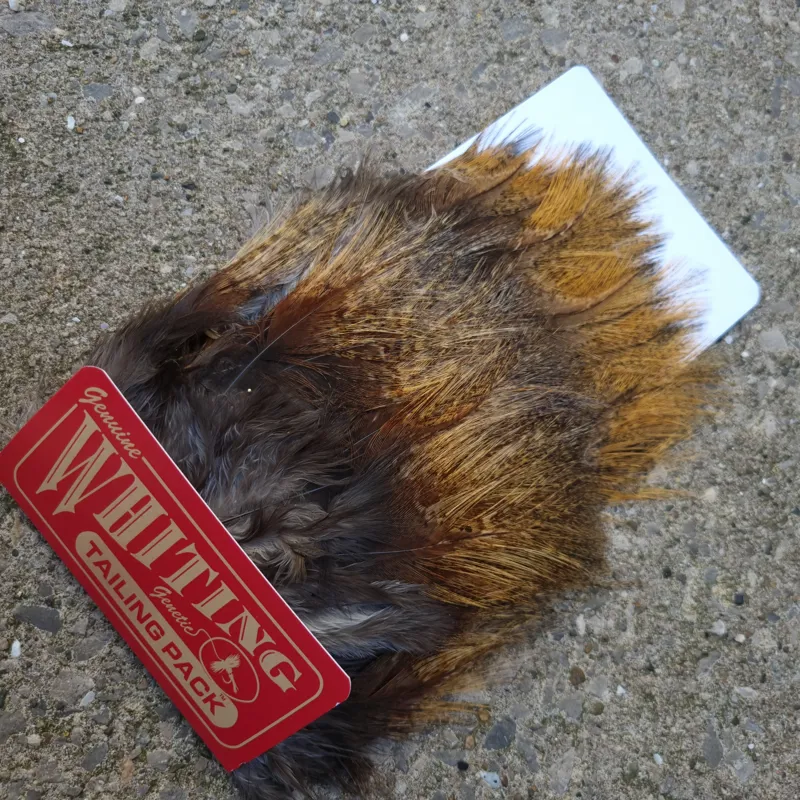 Whiting Coq de Leon Tailing Pack in Medium Pardo-1