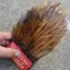 Whiting Coq de Leon Tailing Pack in Ginger Pardo