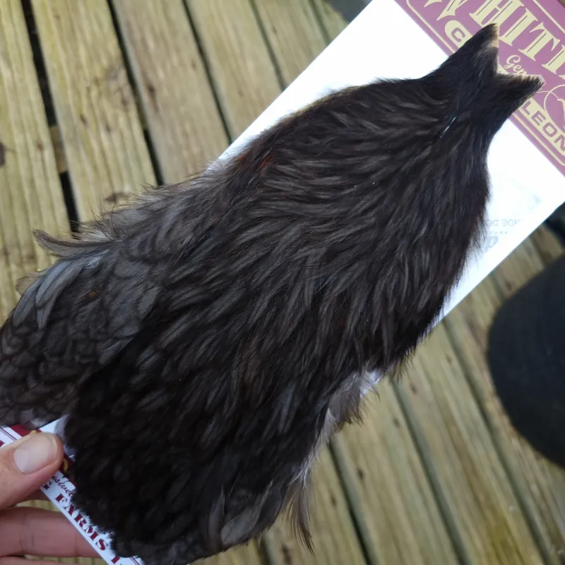 Whiting Coq de Leon Hen Cape in Natural Dun-2