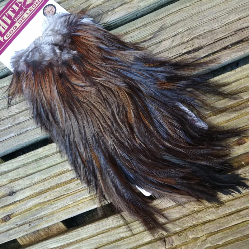 Whiting Bronze Grade Coq de Leon Rooster Saddle in Natural Dun B-8