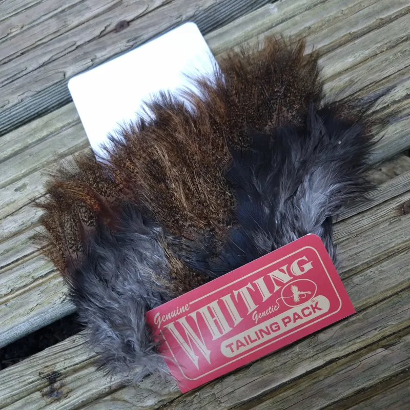 Whiting Coq de Leon Tailing Pack in Dark Pardo-4