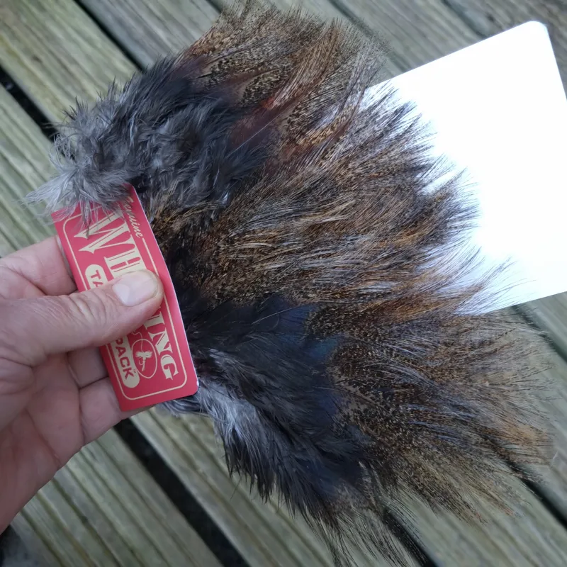 Whiting Coq de Leon Tailing Pack in Dark Pardo-2