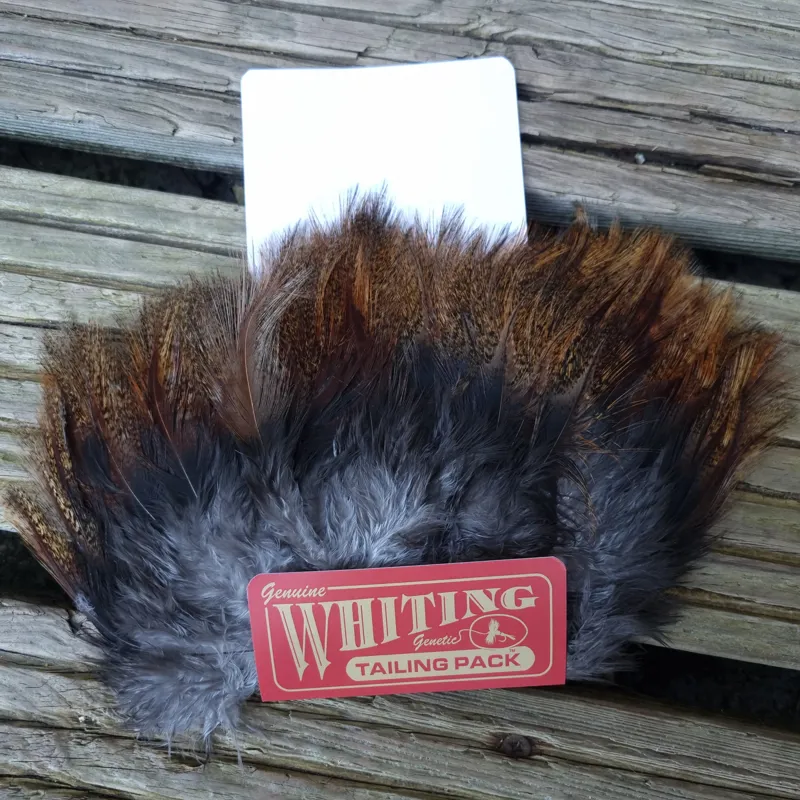 Whiting Coq de Leon Tailing Pack in Ginger Pardo-6