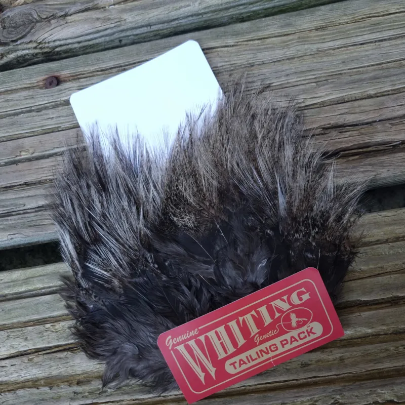 Whiting Coq de Leon Tailing Pack in Cream Badger-1