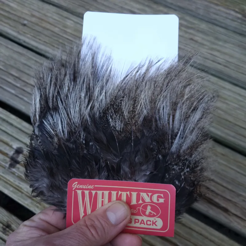 Whiting Coq de Leon Tailing Pack in Cream Badger-3