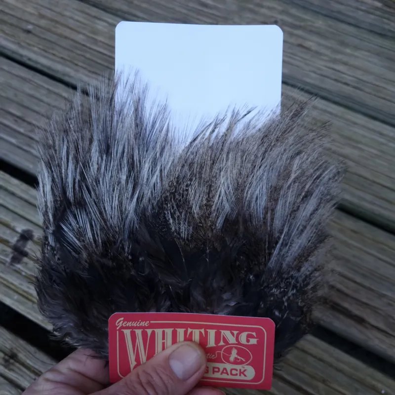 Whiting Coq de Leon Tailing Pack in Cream Badger-4