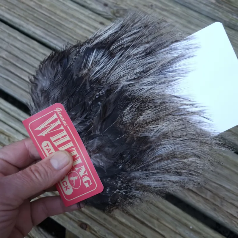 Whiting Coq de Leon Tailing Pack in Cream Badger-2