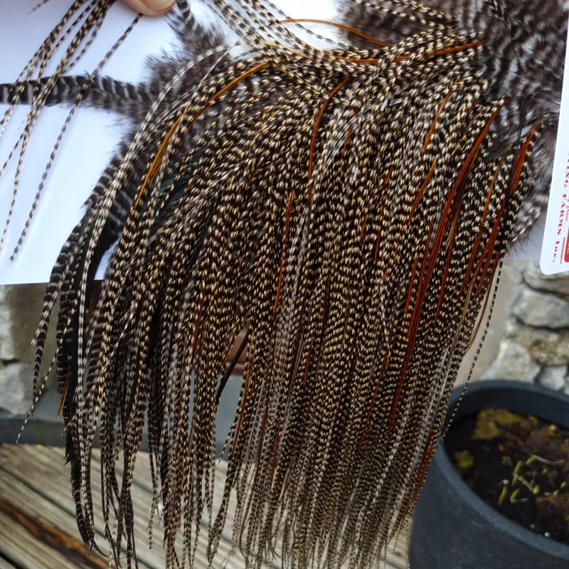 Whiting Pro-Grade Midge Rooster Saddle in CREE D CREE with a Light Splashing of Furnace Tying approx  14/16/18/20 and  a few smaller-4