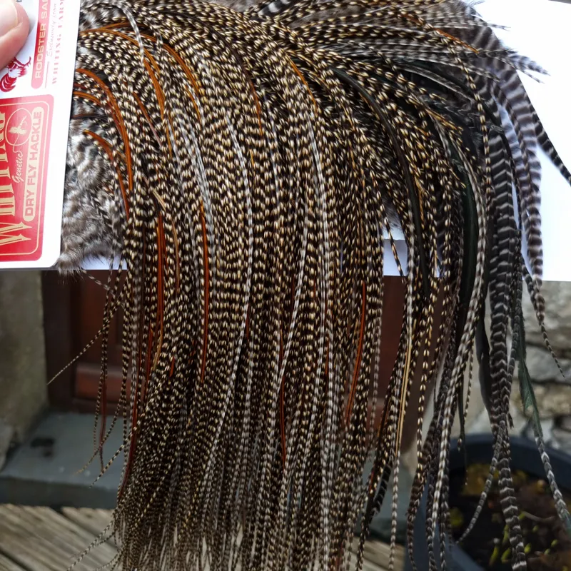 Whiting Pro-Grade Midge Rooster Saddle in CREE D CREE with a Light Splashing of Furnace Tying approx  14/16/18/20 and  a few smaller-5