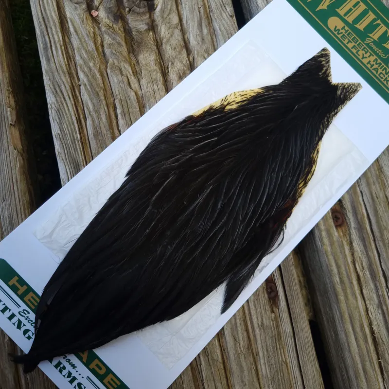 Whiting Hebert Miner Hen Cape in Natural Black D