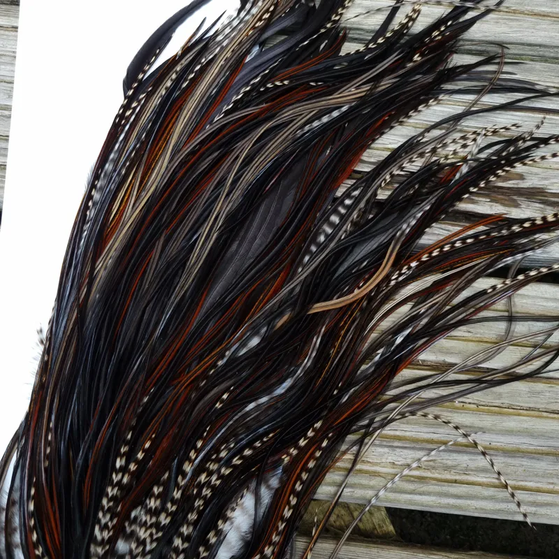 Whiting Heritage Hackles Rooster Saddle in Mixed Colours D Grizzly/Furnace/Dark Furnace/Speckled Dark Rust and Natural Black Tying Approx 8/10/12/14-7