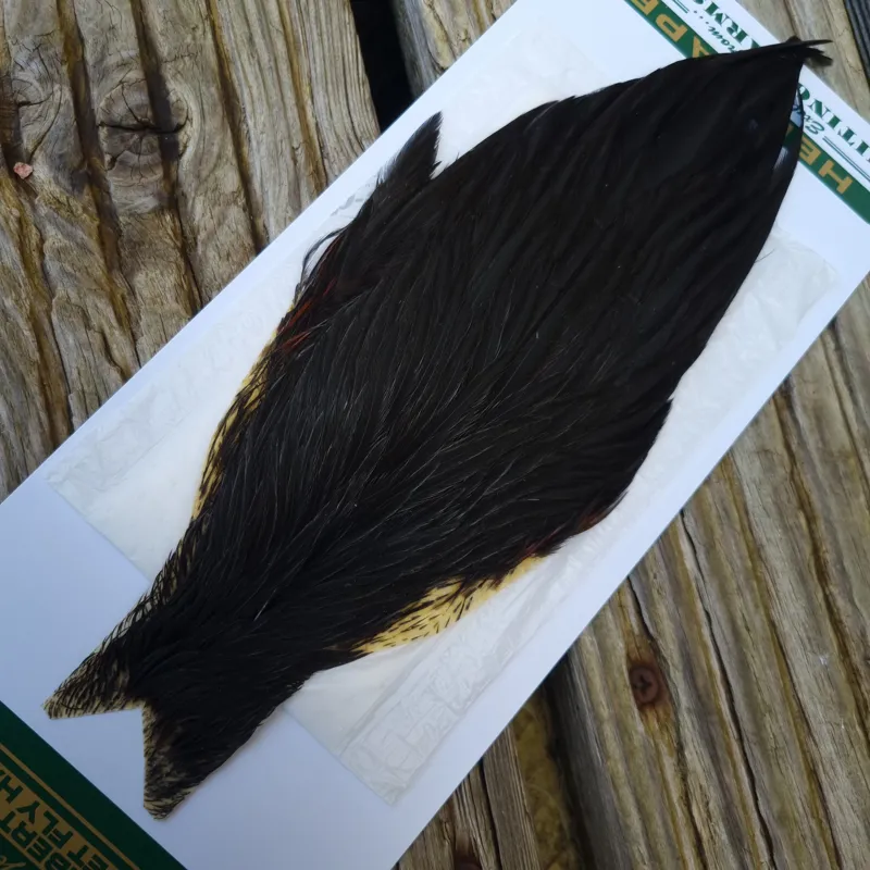 Whiting Hebert Miner Hen Cape in Natural Black D-1