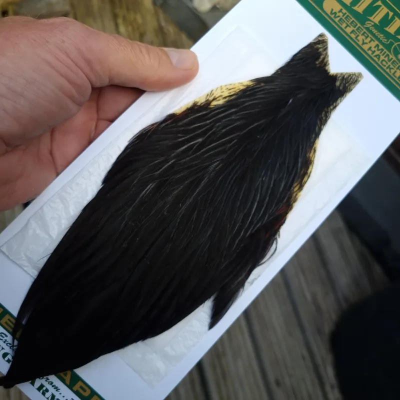Whiting Hebert Miner Hen Cape in Natural Black D-2