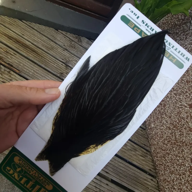 Whiting Hebert Miner Hen Cape in Natural Black D-3