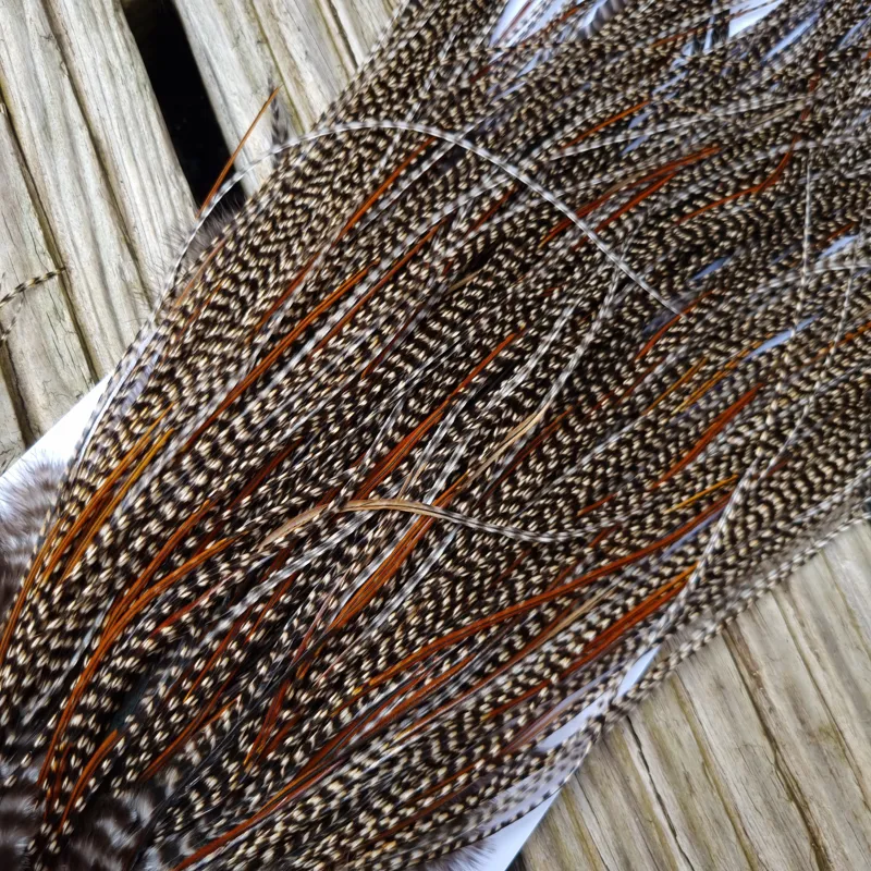 Whiting Pro-Grade Midge Rooster Saddle in CREE D CREE with a Light Splashing of Furnace Tying approx  14/16/18/20 and  a few smaller-3