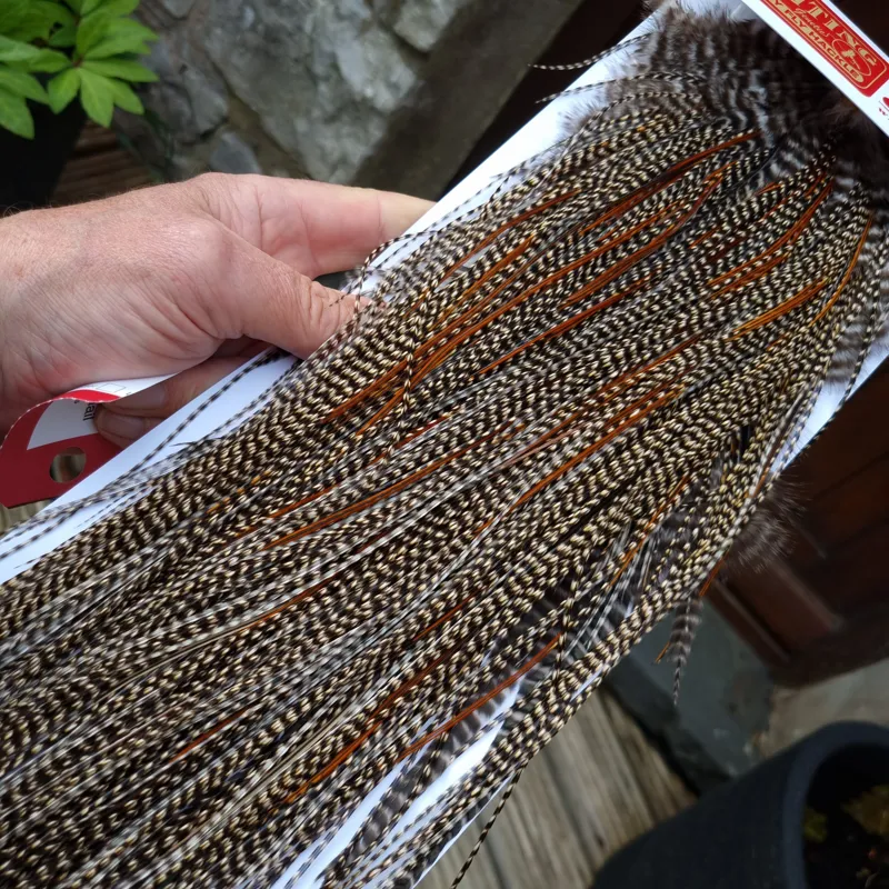 Whiting Pro-Grade Midge Rooster Saddle in CREE D CREE with a Light Splashing of Furnace Tying approx  14/16/18/20 and  a few smaller-8