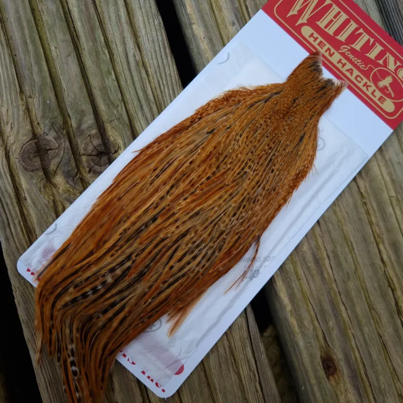 Whiting Hen Cape in Barred Dark Ginger C