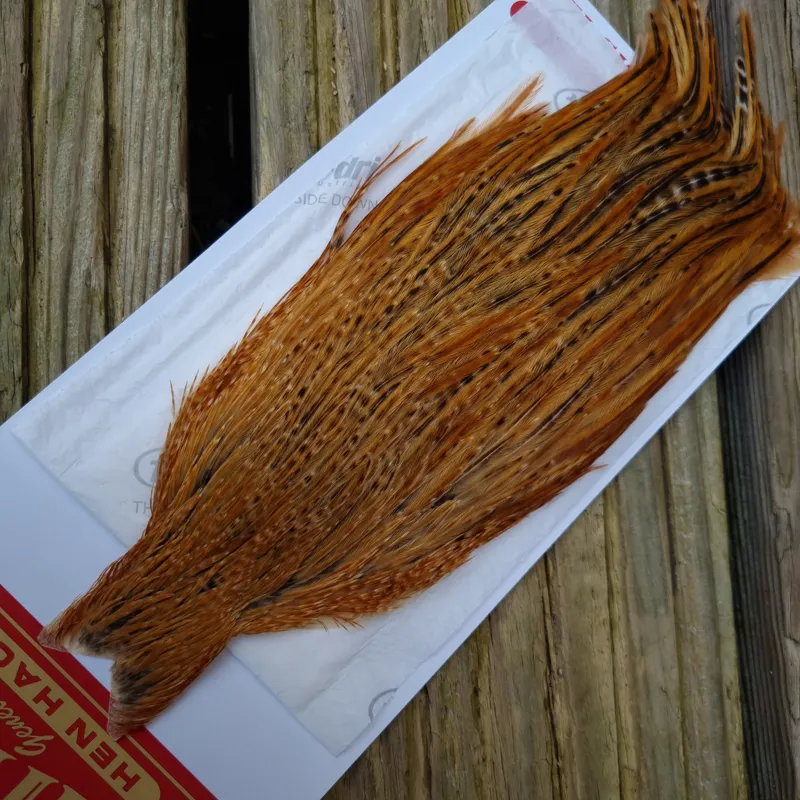 Whiting Hen Cape in Barred Dark Ginger C-1