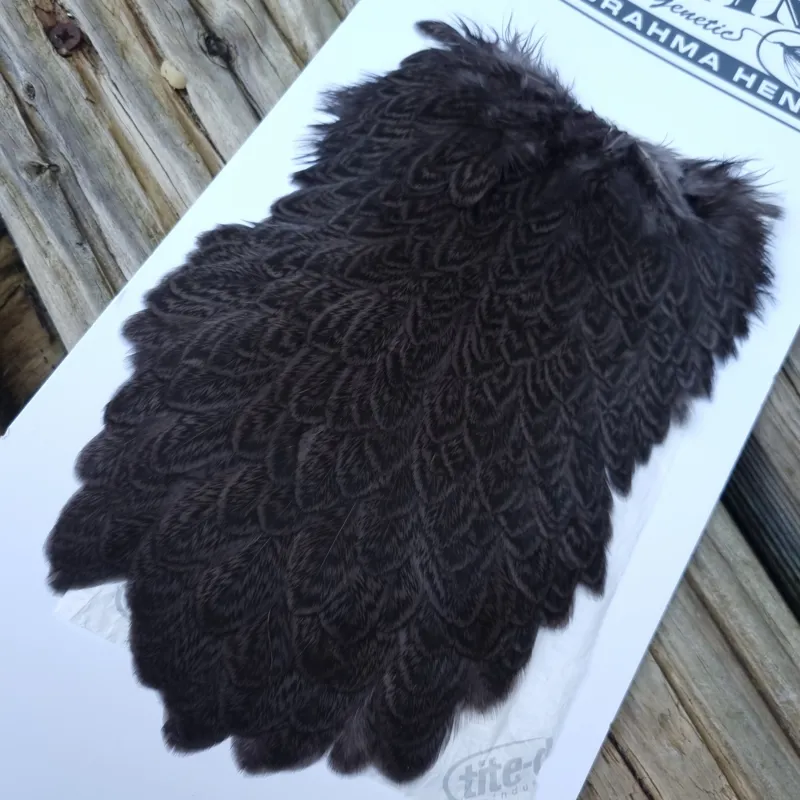 Whiting Brahma Hen Saddle in Dark Dun-3