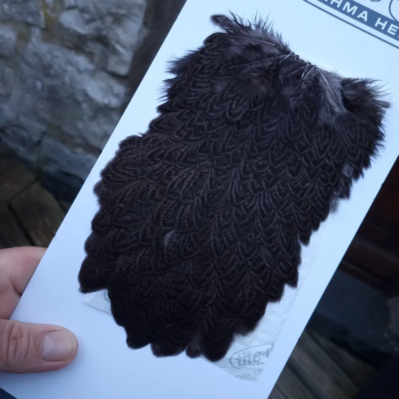 Whiting Brahma Hen Saddle in Dark Dun-2