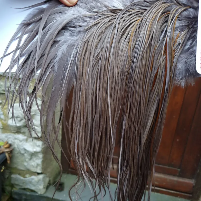 Whiting PRO-GRADE Dry Fly Rooster Saddle in Dark Dun A Approx tying sizes 10/12/14/16