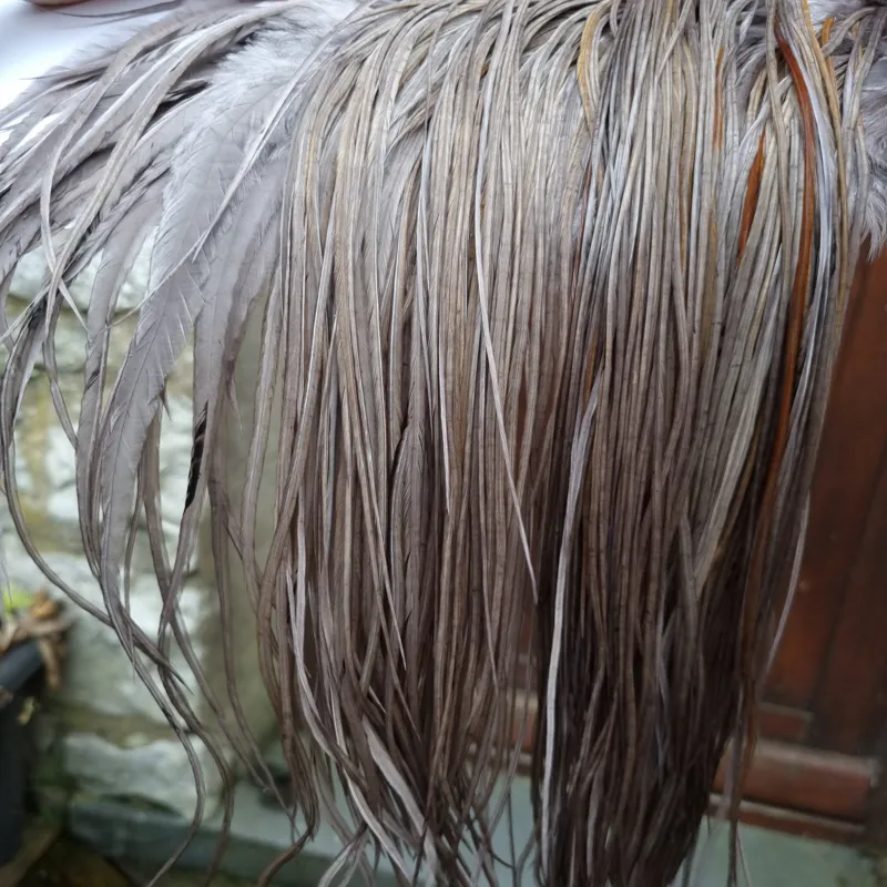 Whiting PRO-GRADE Dry Fly Rooster Saddle in Dark Dun A Approx tying sizes 10/12/14/16-2