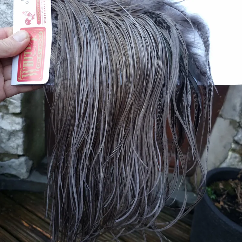 Whiting PRO-GRADE Dry Fly Rooster Saddle in Dark Dun B Approx Tying Sizes some 12's and stuffed with 14/16 and a few going smaller-1