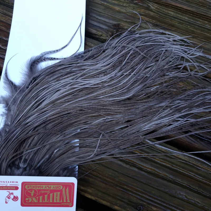 Whiting PRO-GRADE Dry Fly Rooster Saddle in Dark Dun B Approx Tying Sizes some 12's and stuffed with 14/16 and a few going smaller-6