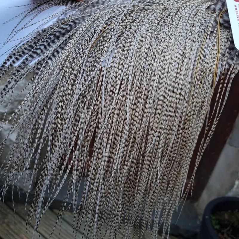 Whiting Pro-Grade Midge Rooster Saddle in Dun Grizzly A Approx tying size 18/20/22/24/26 and OUT OF SIGHT