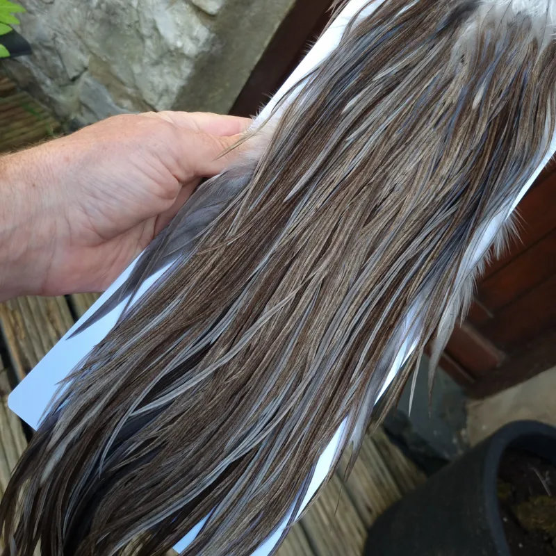 Whiting Hebert Miner Pro-Grade Dry Fly Rooster Saddle in Dark Gray Dun A Slate Gray Tying Approx 8/10-1