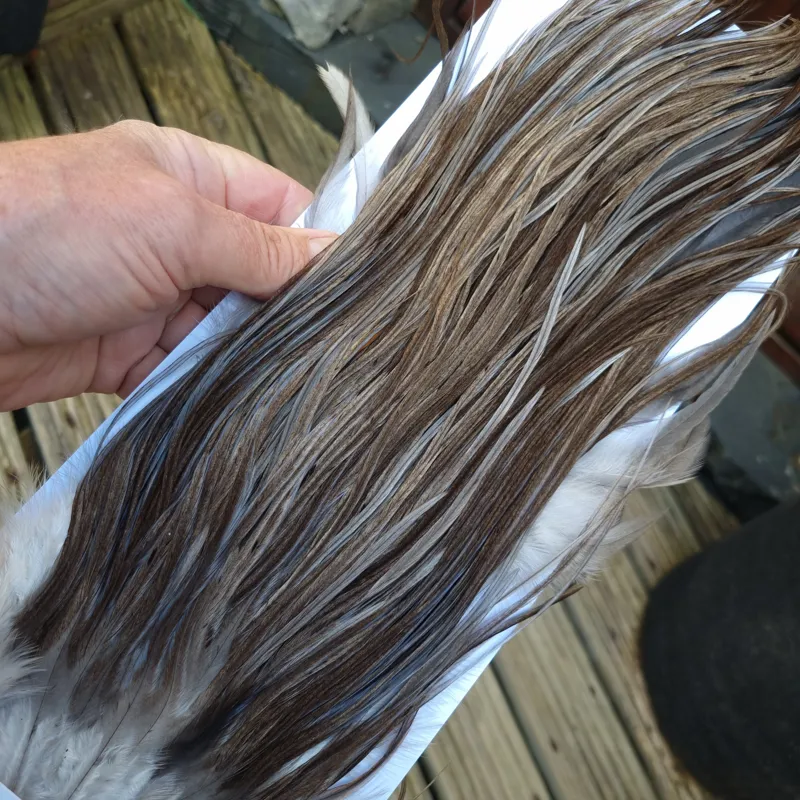 Whiting Hebert Miner Pro-Grade Dry Fly Rooster Saddle in Dark Gray Dun A Slate Gray Tying Approx 8/10-3