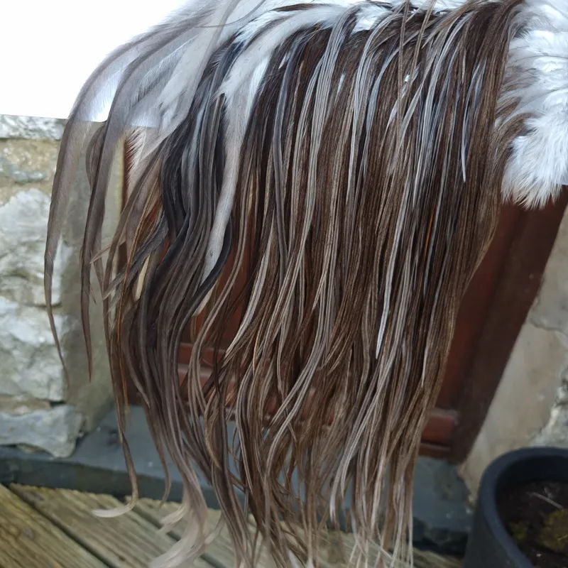 Whiting Hebert Miner Pro-Grade Dry Fly Rooster Saddle in Dark Gray Dun A Slate Gray Tying Approx 8/10-8