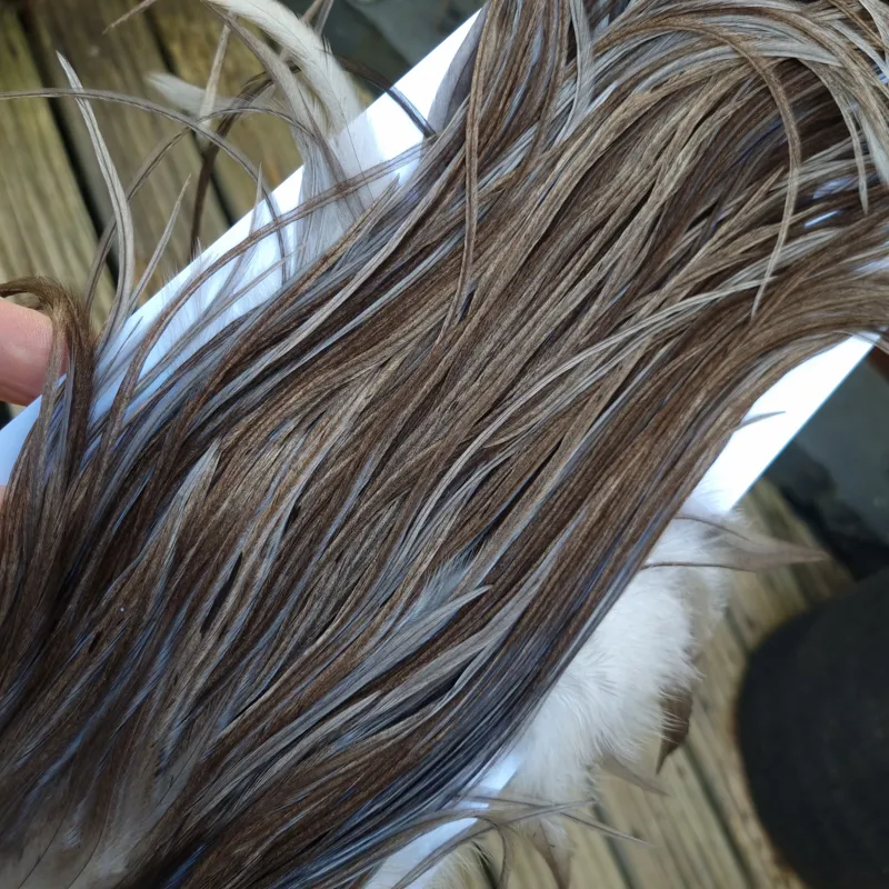 Whiting Hebert Miner Pro-Grade Dry Fly Rooster Saddle in Dark Gray Dun A Slate Gray Tying Approx 8/10-9