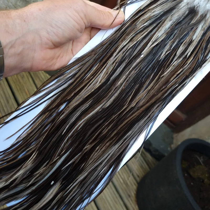 Whiting Hebert Miner Pro-Grade Dry Fly Rooster Saddle in Dark Gray Dun B Slate Gray to VERY Dark Gray Tying Approx 10 12 odd 14-7