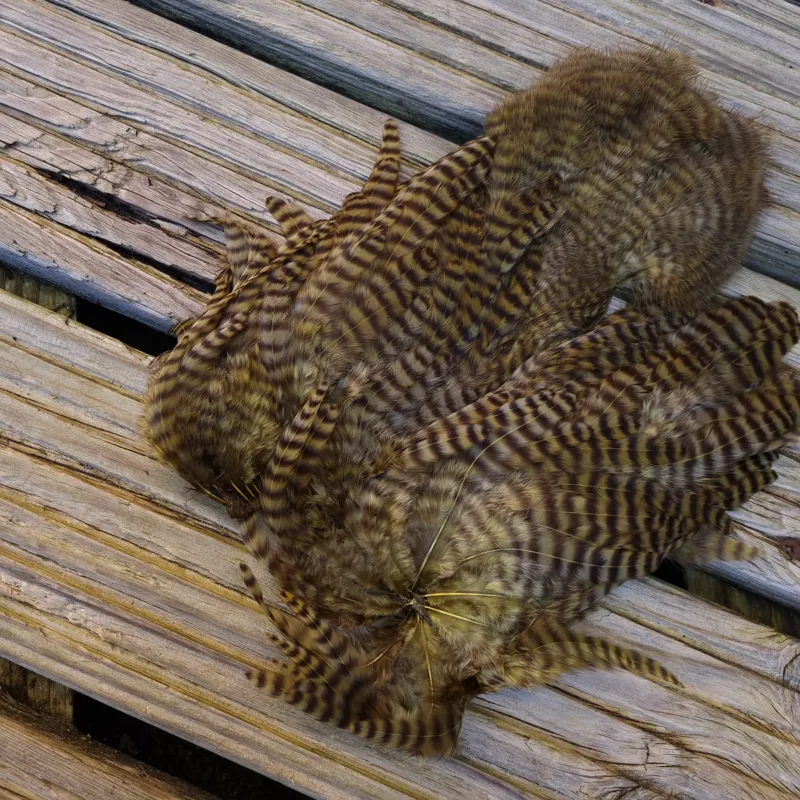 Whiting Rooster Soft Hackle with Chickabou in Grizzly Dyed Dark Olive-3
