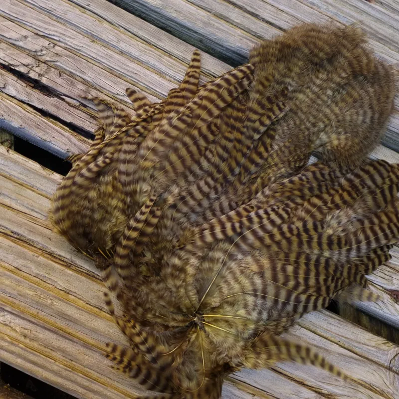 Whiting Rooster Soft Hackle with Chickabou in Grizzly Dyed Dark Olive-1