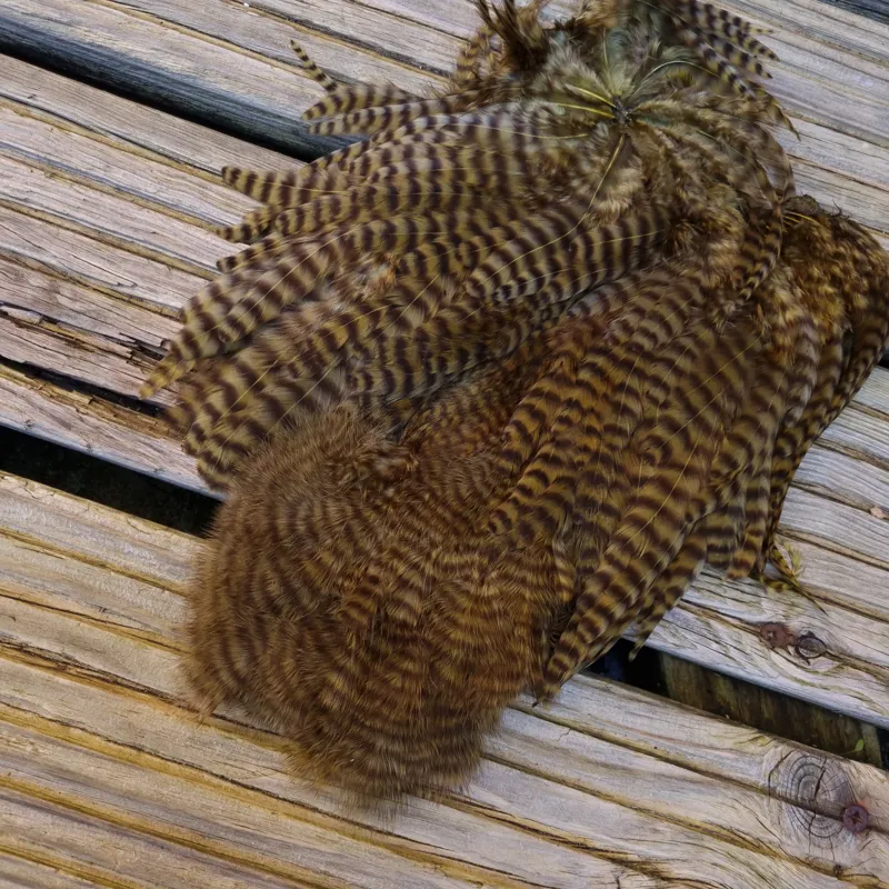 Whiting Rooster Soft Hackle with Chickabou in Grizzly Dyed Dark Olive-2
