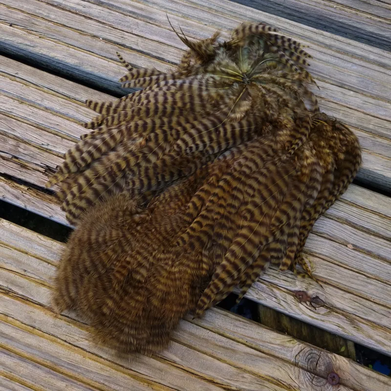 Whiting Rooster Soft Hackle with Chickabou in Grizzly Dyed Dark Olive